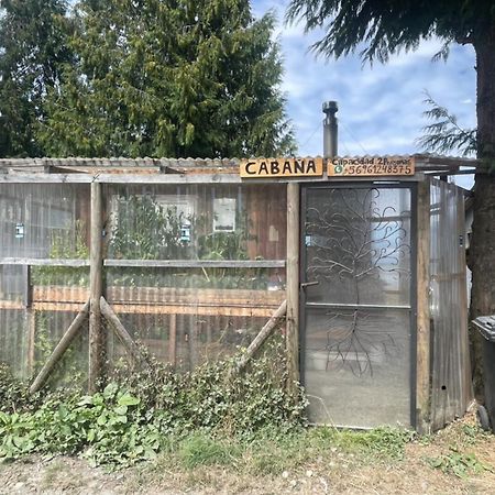 Bauda Cabana Costera Cochamo Exteriör bild